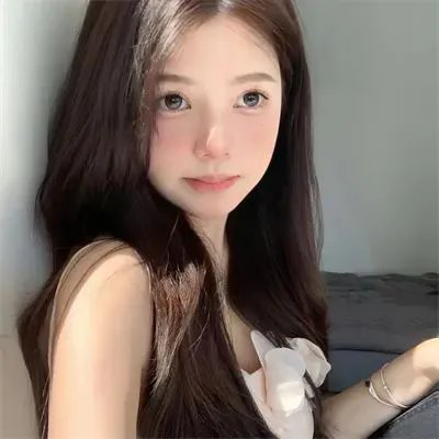 猎罪图鉴